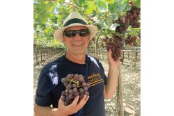 Awe Sum Organics will supply customers with high-quality organic table grapes for loading on both coasts during the winter months, says David Posner, president and CEO.