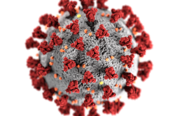 Coronavirus