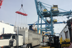 Port of Wilmington is about to receive modernized cargo handling equipment.