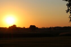 Sunset on the farm