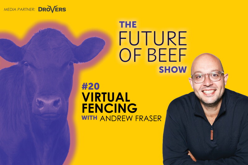 Andy Fraser Computer Programme Developer 5 Ways Smart Collars Improve Grazing - Drovers