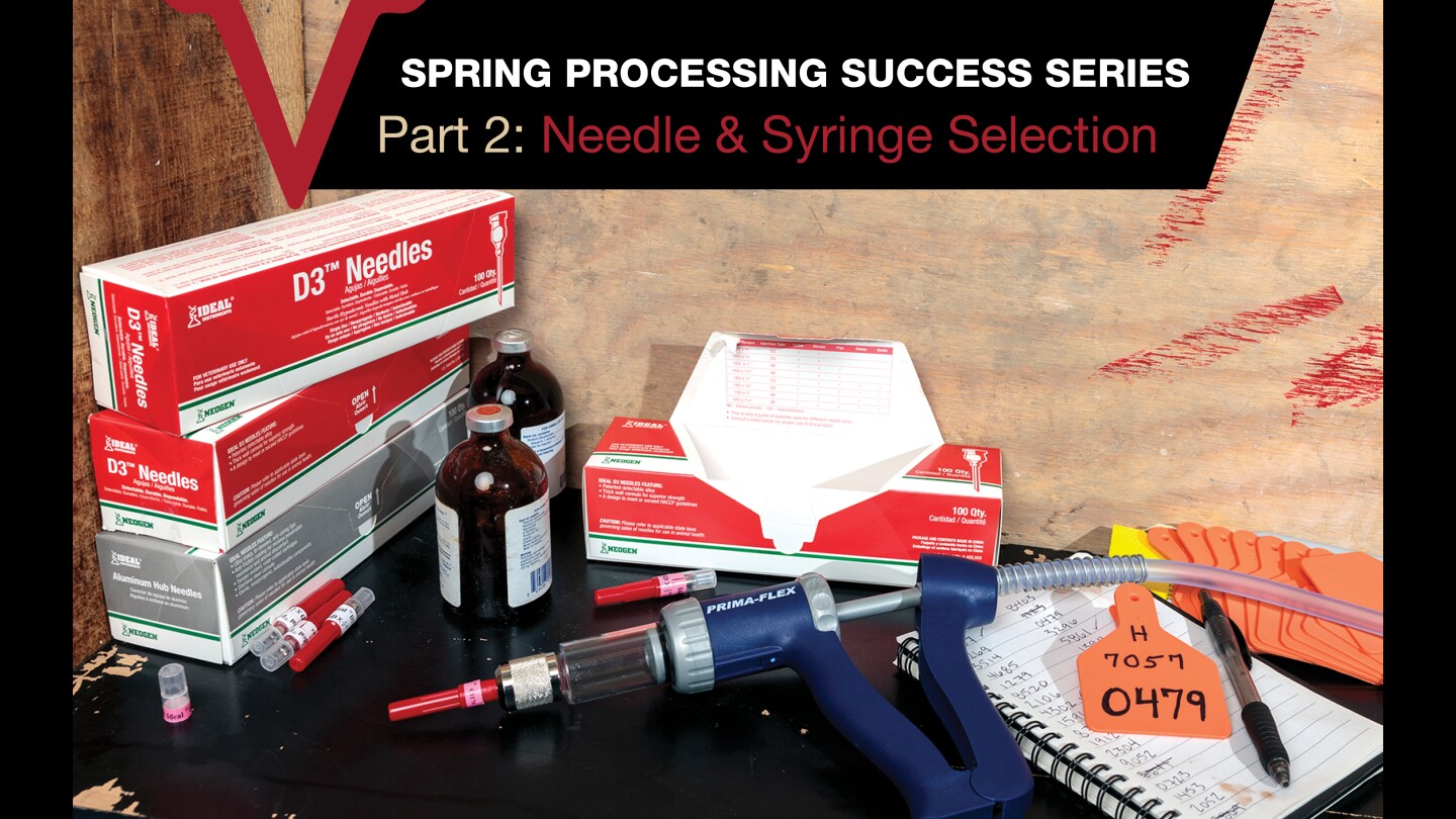 Effective Needle and Syringe Strategies to Ensure Spring Processing ...