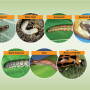 Avoid yield losses by scouting and addressing insects