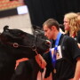 Now is a good time to understand the importance of a Certificate of Veterinary Inspection.