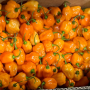 Peppers