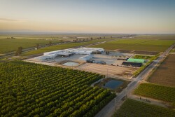 Four Star Fruit facility. Photo courtesy Four Star Fruit