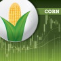 2022 Markets Corn