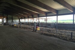 A well-planned calving pen gives producers the opportunity to provide the best treatment for both the cow and the calf. 