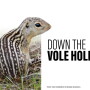 Down the Vole Hole