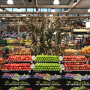 sage organic display