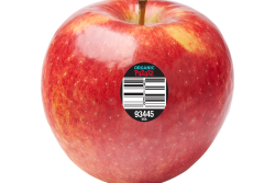 pazazz organic