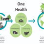 U.S. Centers for Disease Control and Prevention