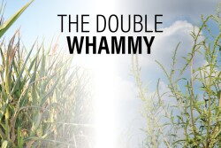 The Double Whammy