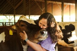 New York Dairy Farmer