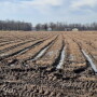 Deep ruts will take years to fix, but you can get started on the right foot this year.