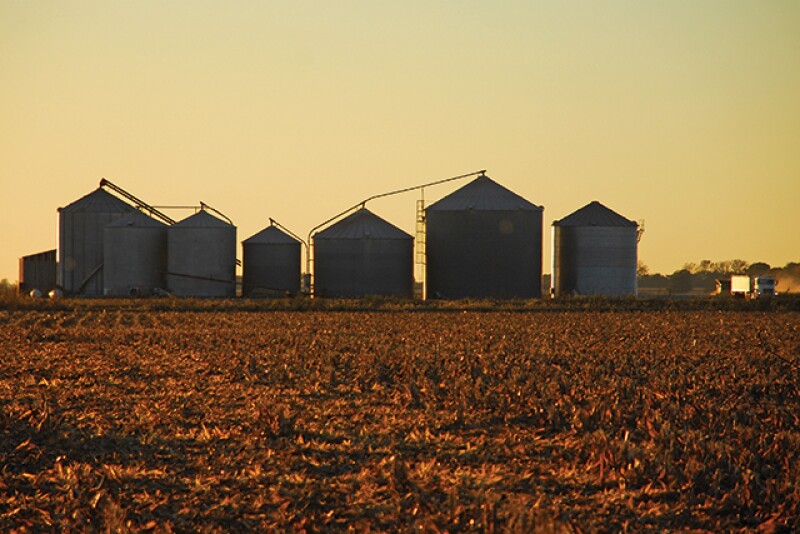 File Photo: Grain bins. 