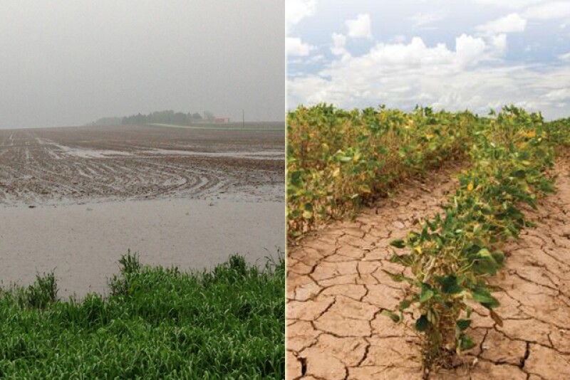 The farming industry is battling the effects of climate change, including unpredictable weather and increased drought and flooding.