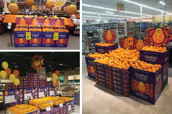 Large Sumo Citrus displays are coming to stores. 
