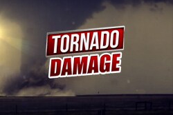 A tornado on March 12 near Roswell, New Mexico, damaged a number of dairy farms and forced at least one farm to euthanize at least 150 cattle.