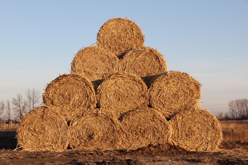 Hay bales