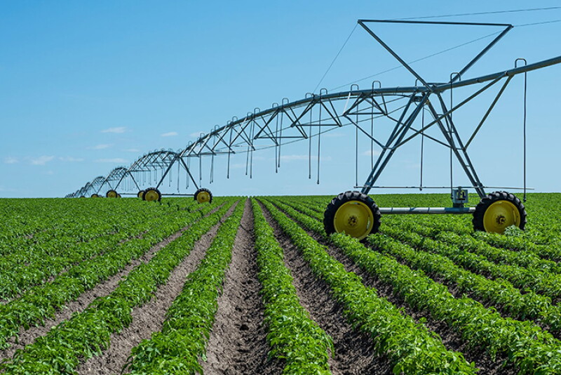 Walmart and PepsiCo collaborate on regenerative ag