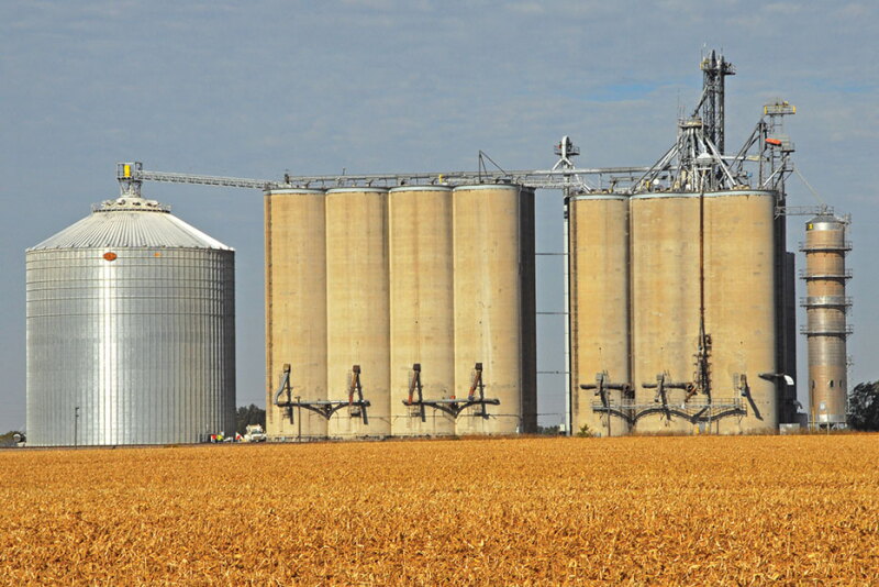 farmdoc daily economist analysis finds that while futures and cash prices are directly correlated, cash prices decrease more often in years of falling prices than futures do.