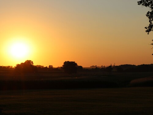 Pig farm at sunset