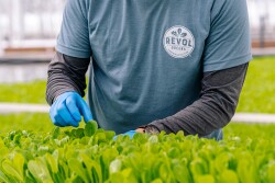 Photo courtesy Revol Greens
