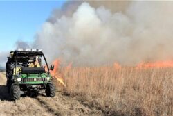 Prescribed burn