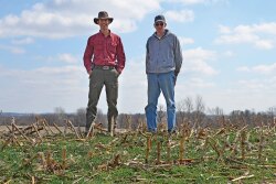 Cover crops provide an additional source of feed for Kyle and Ross Grumke’s cattle—and are especially valuable when forage quality is lacking or prices are high.