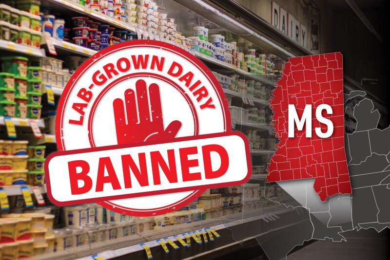 Mississippi Leads the Charge: The First State to Ban Lab-Grown Dairy ...