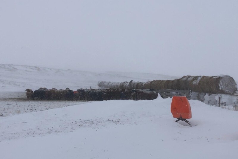 bale windbreak