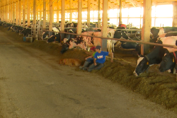 Tracking the success of the NMPF's FARM Animal Care program.