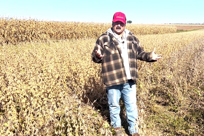 Soybean Harvest