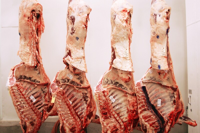 Beef carcasses