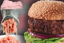 Hamburger