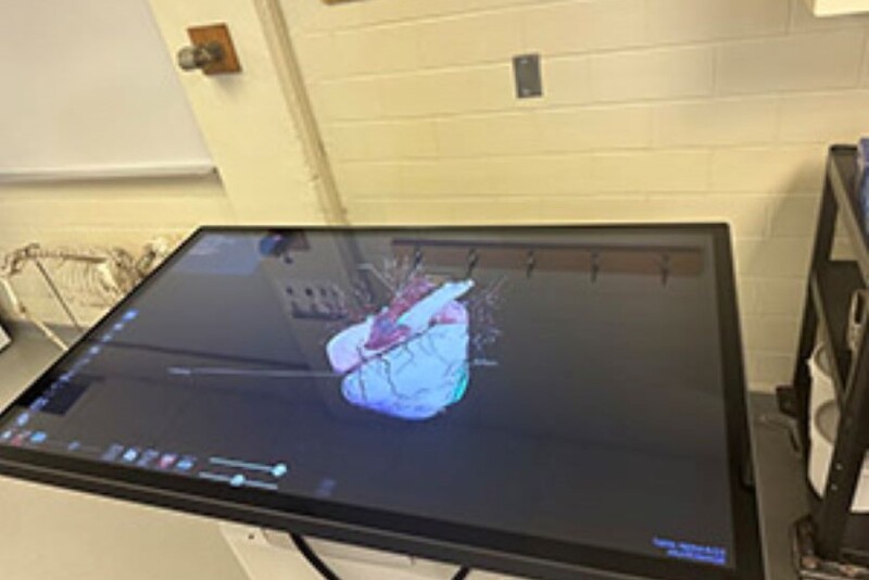 Anatomage Virtual Dissection Table Iowa Pork Industry Center