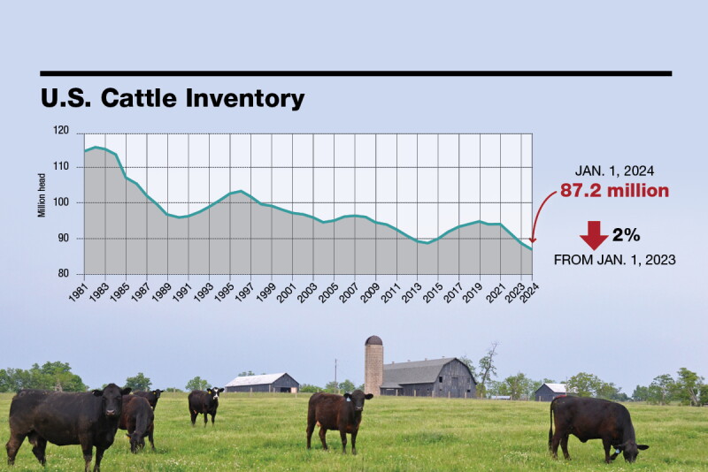 Inventories Graph U.S. Cattle Inventory Reaches 73 Year Low - Dairy Herd