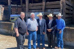 U.S. Senator Jon Tester, Montana Farmers Union President Walt Schweitzer, Public Auction Yards' Joe Goggins, Montana Stockgrowers Association Past President Fred Wacker & USCA's Jess Peterson. 
