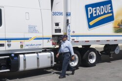 Perdue Farms, Inc. may join a growing list of meat processors, like Tyson Foods and Cargill, Inc, to invest in plant-based protein products.

