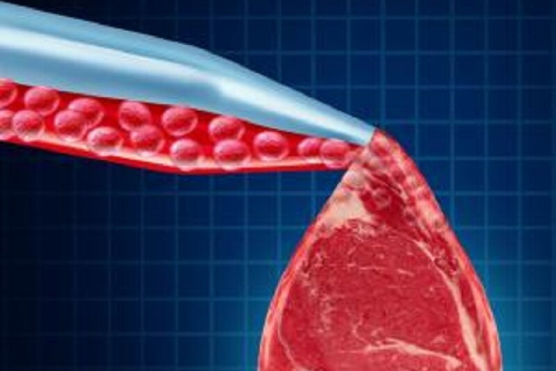 John Phipps: My own hunch is aversion to meat derives from another more obvious source: CAFOs. 