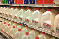 Milk_on_dairy_shelf