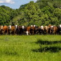 Seven D Ranch, Texas