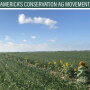 Pollinator strips 
