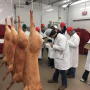 Meats judging