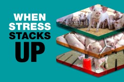 When Stress Stacks Up teal