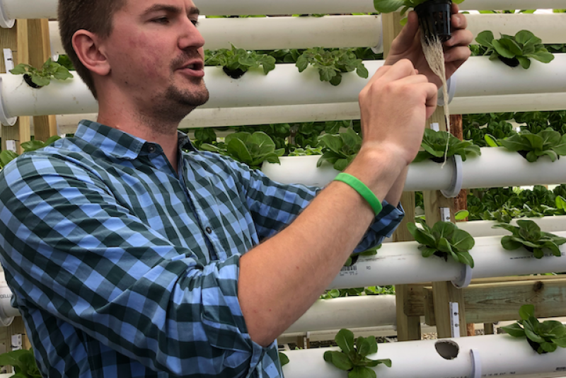 Andrew Mueth and his five brothers use aquaponics to produce lettuce that is sold at farmer's markets in the St. Louis, Mo. area.