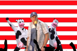Feeding Cattle in the USA
