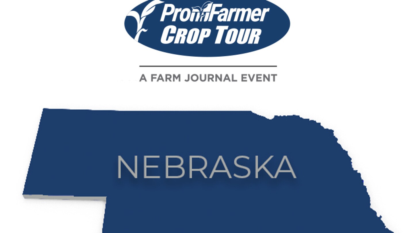 2024 Crop Tour results Nebraska