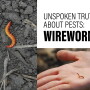 Wireworms